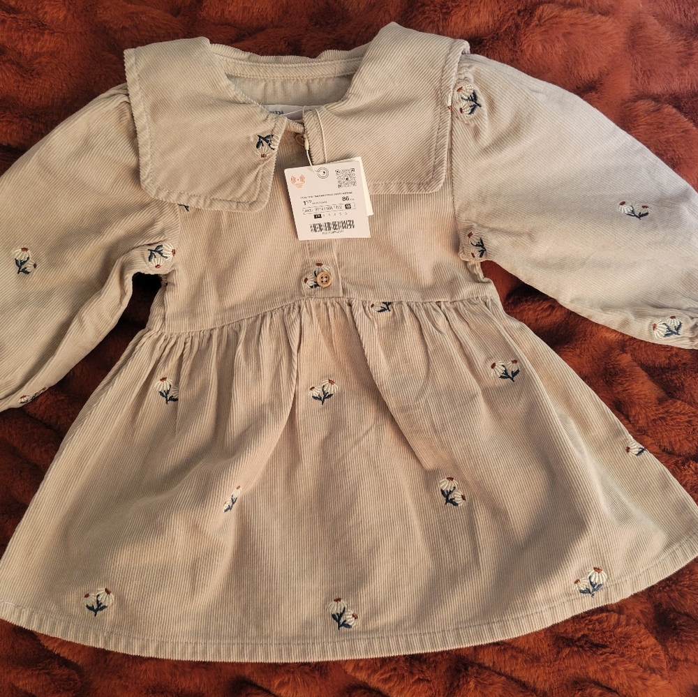 Zara Embroidered Floral Corduroy Collared Dress